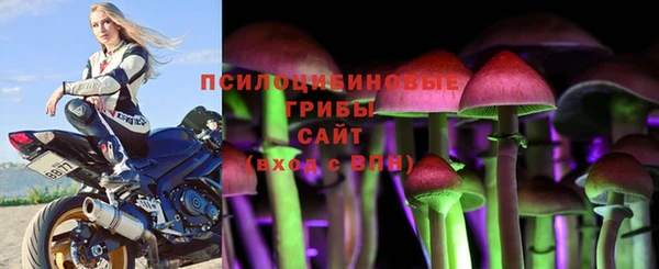 ГАЛЛЮЦИНОГЕННЫЕ ГРИБЫ Горняк