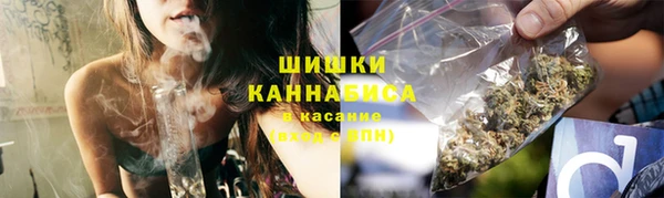 ГАЛЛЮЦИНОГЕННЫЕ ГРИБЫ Горняк