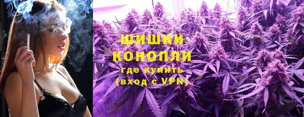 ГАЛЛЮЦИНОГЕННЫЕ ГРИБЫ Горняк
