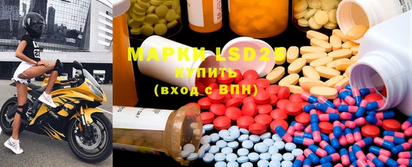ГАЛЛЮЦИНОГЕННЫЕ ГРИБЫ Горняк
